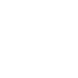 SAY San Diego Logo